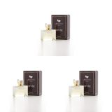 Alberto Taccini Daphne Kadın Parfümü 50 ml (3 paketi)