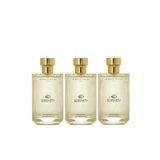 Alberto Taccini Serenity 95 ml 3'lü Kadın Parfüm