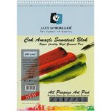Ale x Schoeller Çok Amaçlı Sanatsal Resim ve Eskiz Çizim Defteri 200 gr A4 20 Yp.