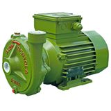 Alem Bertola Astra Bahçe Su Pompası 1 Hp 220 Volt Monofaze