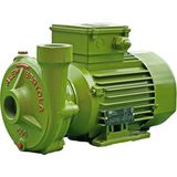 Alem Bertola C40 Bahçe Su Pompası 1 Hp 220 Volt Monofaze