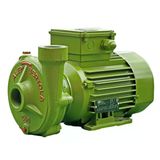 Alem Bertola C40 Bahçe Su Pompası 1,5 Hp 220 Volt Monofaze