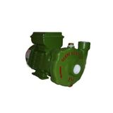 Alem Bertola Sm 0.5 HP Monofaze Santrifüj Pompa