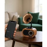 Alemdar Pazarlama Mini Nostaljik Bluetooth Hoparlör Fm Radyo 8 Saat Batarya Yeni Nesil - belirtilmemiş