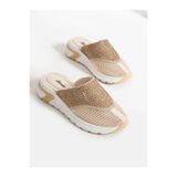 Alemdar Shoes Nice Vizon Taş Detay Kadın Terlik