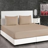 Alena Home Pamuk Saten 100X200 Tek Kişilik Çizgili Lastikli Çarşaf Seti - 100 x 200 - Sütlü Kahve