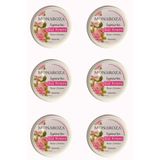 Aleoveralı & Gül Özlü Eşsiz Krem 6Lı Set ( 40 Ml X 6 Adet)