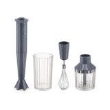 Alessi Plisse Gri Blender Seti