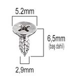 Aletcantam Havsa Basli Kucuk Vida Mini Sac Vidasi Yhb 2.9X6.5 -500 Adet