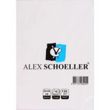 Alex Alx-9814 Resim Kağıdı 25X35 120Gr 10Lu Poşet (120.25)
