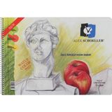 Alex Resim Defteri 25x35 cm 120 Gr 25 Sayfa Şeffaf Kapaklı Sanat Malzemesi
