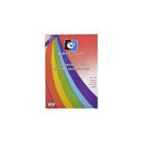 Alex Schoeller Alex 35x50 120gr 10'lu Karışık Renk Fon Kartonu Poşetli Alx-0572