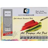 Alex Schoeller Alex Çok Amaçlı Resim Defter (25* 35 Cm) 200 Gram 15 Yaprak (ALEX-893 ) - Çok Renkli - 25*35 cm - Resim Defteri