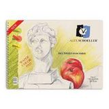 Alex Schoeller ALX-0816 25x35 cm 120 gr Pp Kapak 25 Yaprak Spiralli Resim Defteri