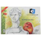 Alex Schoeller ALX-0823 35x50cm 120 Gram 25 Sayfa Resim Defteri