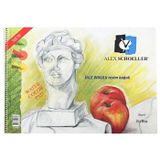 Alex Schoeller Alx0787 Spiralli Resim Defteri 120gr 35x50 40Yp