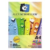 Alex Schoeller ALX779 Renkli 10 Renk 80 gr 100'lü A4 Fotokopi Kağıdı
