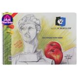 Alex Schoeller Alx826 Spiralli Resim Defteri 25x35 120gr 15Yp