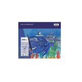 Alex Schoeller Art Watercolor Pad Suluboya Defteri Blok A5 300 Gr 12 Sayfa