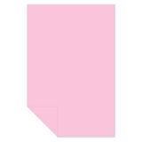 Alex Schoeller Fon Kartonu 160 Gram 35x50Cm 10 Pembe (100 Lü Paket)