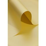 Alex Schoeller Fon Kartonu 25X35Cm No:07 Açık Sarı (100 Lü Paket)