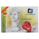 Alex Schoeller Pp Kapak Resim ve Eskiz Çizim Defteri 120 gr 25 x 35 cm 25 Yp.