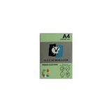 Alex Schoeller Premium A4/80 gr Fıstık Yeşili 500'LÜ Renli Fotokopi Kağıdı Alx 530 - Açık Yeşil
