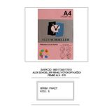 Alex Schoeller Renkli A4 500'lü 570 Pembe Fotokopi Kağıdı