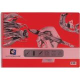 Alex Schoeller Resim Defteri - 35 x 50 - 120 gr - 25 Sayfa