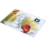 alex schoeller resim defteri spiralli 35x50cm 120 gram 40 yaprak alx-0787 - Yok