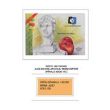 ALEX SCHOELLER ŞEFFAF RESİM DEFTERİ 25x35 SİPRALLİ 120 GR 25 SYF - 0816