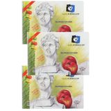 Alex Schoeller Spiralli Resim (eskiz-çizim) Defter Seti 120 Gr 15 Yaprak 25x35 Cm (5 Adet)