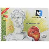 ALEX SCHOELLER SPİRİALLİ ŞEFFAF KAPAK RESİM DEFTERİ 120gr.35X50 25 SAYFA -0823