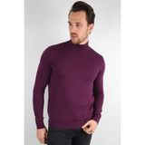 Alexander Gardi Balıkçı Yaka Regular Fit Kazak Yeni Sezon - 2XL - Mor