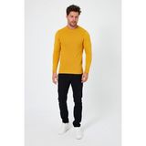 Alexander Gardi Bisiklet Yaka Regular Fit Kazak (E24-EZE-03) - Sarı - XL