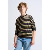 ALEXANDERGARDI Çizgili Bisiklet Yaka Çocuk Sweatshirt ANTRASİT 5-6 Yaş
