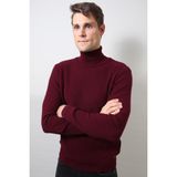 ALEXANDERGARDI E20-18828 Bordo Balıkçı Yaka Triko Erkek Kazak
