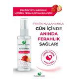 aleyna baharat Ağız Spreyi - Çilek & Mentol - Bitkisel İçerikli Ağız Kokusu Önleyici Ferahlatıcı 20 ML