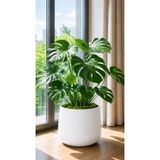 Alezy Atlas Renkli Kendinden Drenajlı Saksı 7 Litre No:4 28cm Beyaz