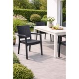 Alezy HK730 Troya Rattan Desenli Plastik Bahçe Balkon Koltuk Antrasit
