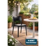 Alezy Pano Plastik Bahçe Balkon Renkli Sandalye 4'lü Set Siyah