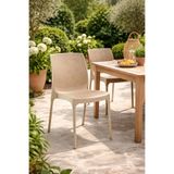 Alezy R009 Sunny Rattan Desenli Plastik Bahçe ve Balkon Sandalye Krem