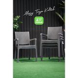 Alezy Troy Plastik Rattan Desenli Koltuk Kollu Balkon Bahçe Koltuğu 4'lü Set Antrasit Gri