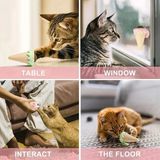 Alfa Brand Dondurma Şeklinde Kedi Nanesi Kedi Otu - 0 - Çok Renkli