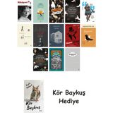 Alfa Yayınları 13 Kitaplık Türk Edebiyatı Seti + Çim Adam - Hayır