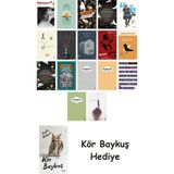Alfa Yayınları 17 Kitaplık Türk Edebiyatı Seti + Çim Adam - Hayır