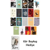 Alfa Yayınları 19 Kitaplık Türk Edebiyatı Seti + Çim Adam - Hayır