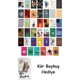 Alfa Yayınları 41 Kitaplık Türk Edebiyatı Seti + Çim Adam - Hayır