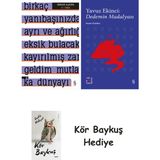 Alfa Yayınları A ! Etika + Everest Açıkhava 39 - Dedemin Madalyası + Kör Baykuş - Hayır