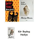 Alfa Yayınları Alman Ekmeği + Aleviye Hanım + Kör Baykuş - Hayır